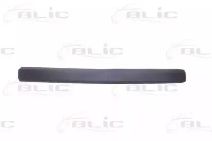 5703-04-2042572PP BLIC Облицовка / защитная накладка, дверь 5703-04-2042572PP BLIC Облицовка / защитная накладка, дверь