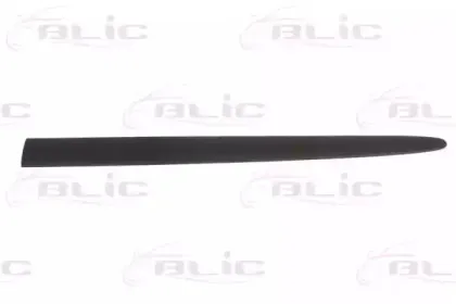 5703-04-2045571P BLIC Облицовка / защитная накладка, дверь 5703-04-2045571P BLIC Облицовка / защитная накладка, дверь