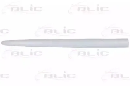 5703-04-2045576P BLIC Облицовка / защитная накладка, дверь 5703-04-2045576P BLIC Облицовка / защитная накладка, дверь