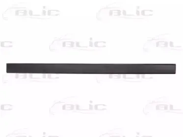 5703-04-2530572P BLIC Облицовка / защитная накладка, дверь 5703-04-2530572P BLIC Облицовка / защитная накладка, дверь