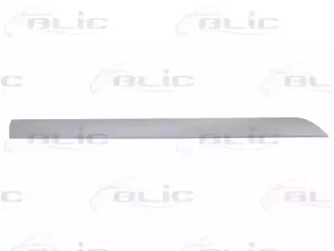 5703-04-2532575P BLIC Облицовка / защитная накладка, дверь 5703-04-2532575P BLIC Облицовка / защитная накладка, дверь