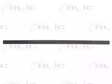5703-04-2533572P BLIC Облицовка / защитная накладка, дверь 5703-04-2533572P BLIC Облицовка / защитная накладка, дверь