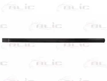 5703-04-2555573P BLIC Облицовка / защитная накладка, дверь 5703-04-2555573P BLIC Облицовка / защитная накладка, дверь