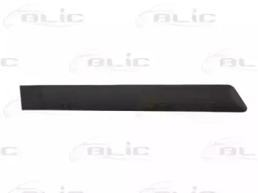 5703-04-2564474CP BLIC Облицовка / защитная накладка, дверь 5703-04-2564474CP BLIC Облицовка / защитная накладка, дверь