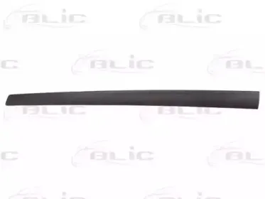 5703-04-2564572CP BLIC Облицовка / защитная накладка, дверь 5703-04-2564572CP BLIC Облицовка / защитная накладка, дверь