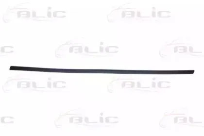 5703-04-2564572P BLIC Облицовка / защитная накладка, дверь 5703-04-2564572P BLIC Облицовка / защитная накладка, дверь