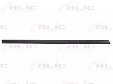 5703-04-2564575P BLIC Облицовка / защитная накладка, дверь 5703-04-2564575P BLIC Облицовка / защитная накладка, дверь