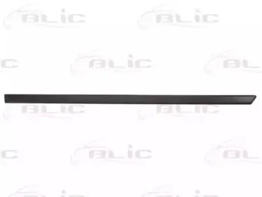 5703-04-2564576P BLIC Облицовка / защитная накладка, дверь 5703-04-2564576P BLIC Облицовка / защитная накладка, дверь