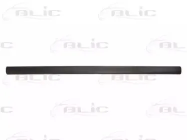 5703-04-5051571P BLIC Облицовка / защитная накладка, дверь 5703-04-5051571P BLIC Облицовка / защитная накладка, дверь