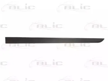 5703-04-5052571P BLIC Облицовка / защитная накладка, дверь 5703-04-5052571P BLIC Облицовка / защитная накладка, дверь
