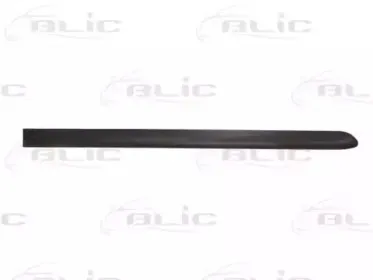 5703-04-5077574P BLIC Облицовка / защитная накладка, дверь 5703-04-5077574P BLIC Облицовка / защитная накладка, дверь