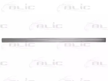 5703-04-5077576P BLIC Облицовка / защитная накладка, дверь 5703-04-5077576P BLIC Облицовка / защитная накладка, дверь