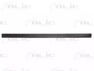 5703-04-5097572P BLIC Облицовка / защитная накладка, дверь 5703-04-5097572P BLIC Облицовка / защитная накладка, дверь