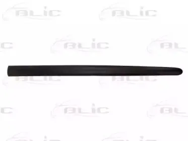 5703-04-5507571P BLIC Облицовка / защитная накладка, дверь 5703-04-5507571P BLIC Облицовка / защитная накладка, дверь