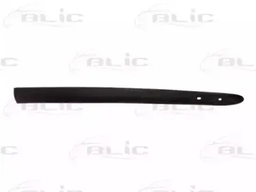 5703-04-6032572P BLIC Облицовка / защитная накладка, дверь 5703-04-6032572P BLIC Облицовка / защитная накладка, дверь