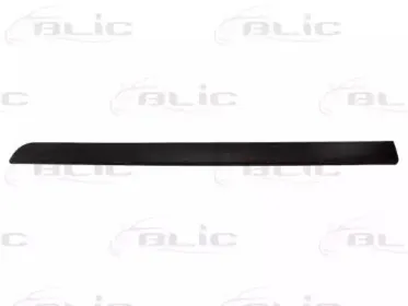 5703-04-6042572P BLIC Облицовка / защитная накладка, дверь 5703-04-6042572P BLIC Облицовка / защитная накладка, дверь