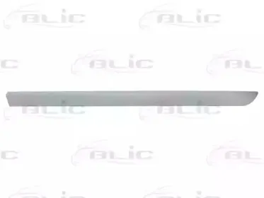 5703-04-6042576P BLIC Облицовка / защитная накладка, дверь 5703-04-6042576P BLIC Облицовка / защитная накладка, дверь