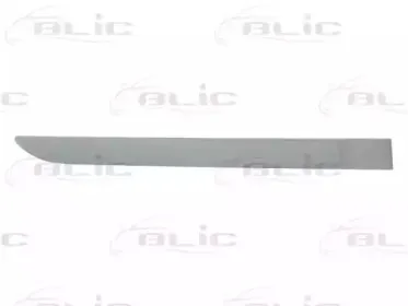5703-04-6042578P BLIC Облицовка / защитная накладка, дверь 5703-04-6042578P BLIC Облицовка / защитная накладка, дверь