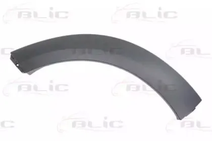 5703046490598P BLIC Облицовка / защитная накладка, крыло 5703046490598P BLIC Облицовка / защитная накладка, крыло