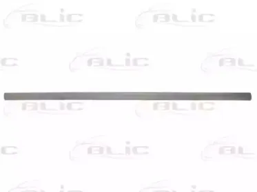 5703-04-9504575P BLIC Облицовка / защитная накладка, дверь 5703-04-9504575P BLIC Облицовка / защитная накладка, дверь