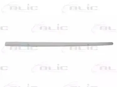 5703-04-9505576P BLIC Облицовка / защитная накладка, дверь 5703-04-9505576P BLIC Облицовка / защитная накладка, дверь
