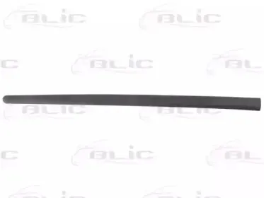 5703-04-9524572P BLIC Облицовка / защитная накладка, дверь 5703-04-9524572P BLIC Облицовка / защитная накладка, дверь