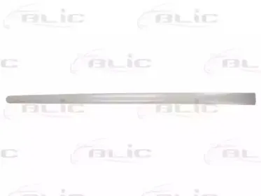 5703-04-9524576P BLIC Облицовка / защитная накладка, дверь 5703-04-9524576P BLIC Облицовка / защитная накладка, дверь