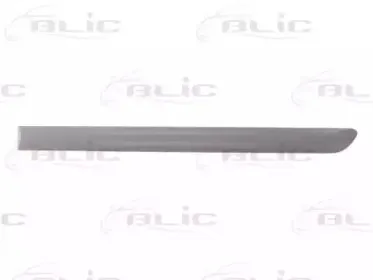 5703-04-9524577P BLIC Облицовка / защитная накладка, дверь 5703-04-9524577P BLIC Облицовка / защитная накладка, дверь