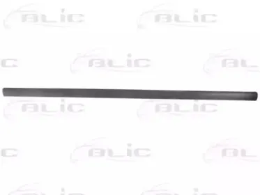 5703-04-9539572P BLIC Облицовка / защитная накладка, дверь 5703-04-9539572P BLIC Облицовка / защитная накладка, дверь