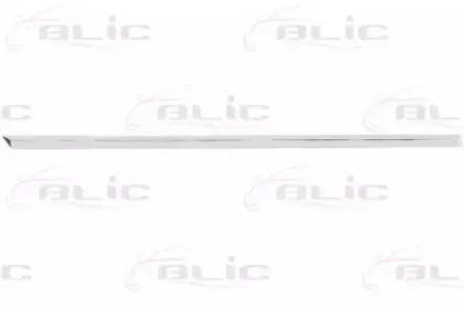 5703-04-9540574CP BLIC Облицовка / защитная накладка, дверь 5703-04-9540574CP BLIC Облицовка / защитная накладка, дверь