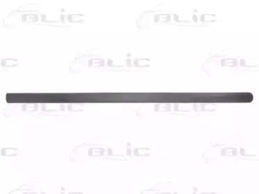 5703-04-9545571P BLIC Облицовка / защитная накладка, дверь 5703-04-9545571P BLIC Облицовка / защитная накладка, дверь
