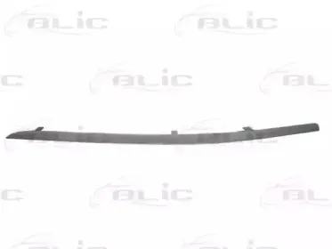 5703-05-0031924P BLIC Облицовка / защитная накладка, буфер 5703-05-0031924P BLIC Облицовка / защитная накладка, буфер