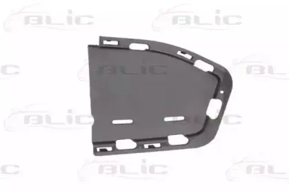 5703-05-0070921P BLIC Покрытие, фара 5703-05-0070921P BLIC Покрытие, фара