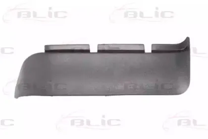 5703-05-0070922P BLIC Покрытие, фара 5703-05-0070922P BLIC Покрытие, фара