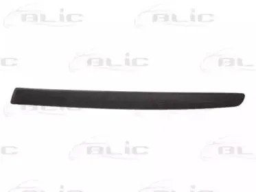 5703-05-0085923P BLIC Облицовка / защитная накладка, буфер 5703-05-0085923P BLIC Облицовка / защитная накладка, буфер