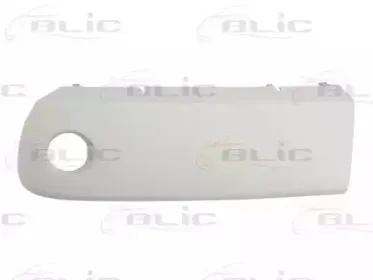 5703-05-3711923P BLIC Облицовка / защитная накладка, буфер 5703-05-3711923P BLIC Облицовка / защитная накладка, буфер