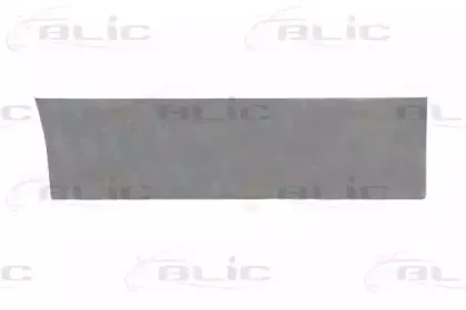 6015-00-1150121P BLIC Дверь, кузов 6015-00-1150121P BLIC Дверь, кузов