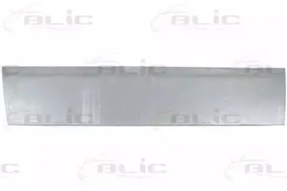 6015-00-1151141P BLIC Дверь, кузов 6015-00-1151141P BLIC Дверь, кузов