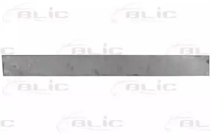 6015-00-2092121P BLIC Дверь, кузов 6015-00-2092121P BLIC Дверь, кузов