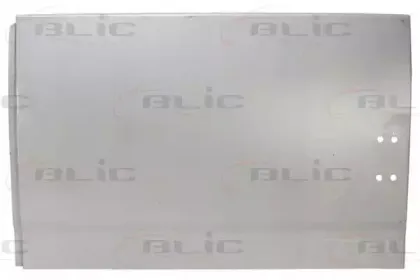 6015-00-2092153P BLIC Задняя дверь 6015-00-2092153P BLIC Задняя дверь