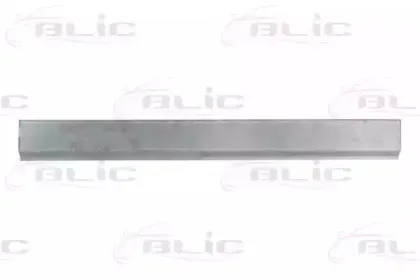 6015-00-2096120P BLIC Дверь, кузов 6015-00-2096120P BLIC Дверь, кузов