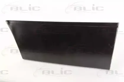 6015-00-2515121P BLIC Дверь, кузов 6015-00-2515121P BLIC Дверь, кузов