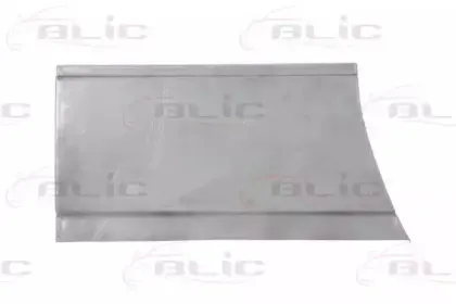 6015-00-3542125P BLIC Дверь, кузов 6015-00-3542125P BLIC Дверь, кузов