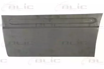6015-00-3548126P BLIC Дверь, кузов 6015-00-3548126P BLIC Дверь, кузов