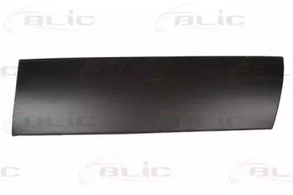 6015-00-5076142P BLIC Дверь, кузов 6015-00-5076142P BLIC Дверь, кузов