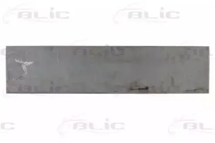 6016-00-3545157P BLIC Задняя дверь 6016-00-3545157P BLIC Задняя дверь