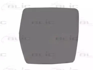 6102-02-1212973P BLIC Зеркальное стекло, наружное зеркало 6102-02-1212973P BLIC Зеркальное стекло, наружное зеркало