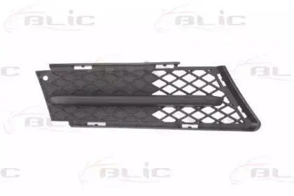 6502070062916Q BLIC Решетка вентилятора, буфер 6502070062916Q BLIC Решетка вентилятора, буфер