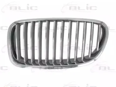 6502-07-0067996P BLIC Решетка радиатора 6502-07-0067996P BLIC Решетка радиатора