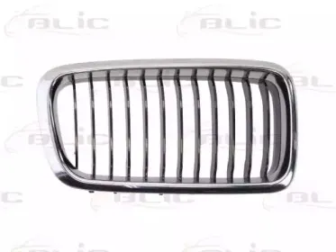 6502-07-0075996P BLIC Решетка радиатора 6502-07-0075996P BLIC Решетка радиатора